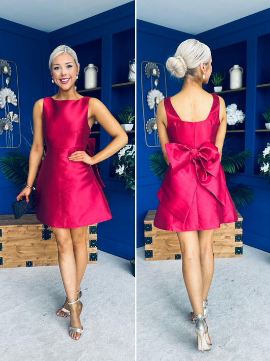 Feyre Bow Detail Sleeves Mini Dress Wine