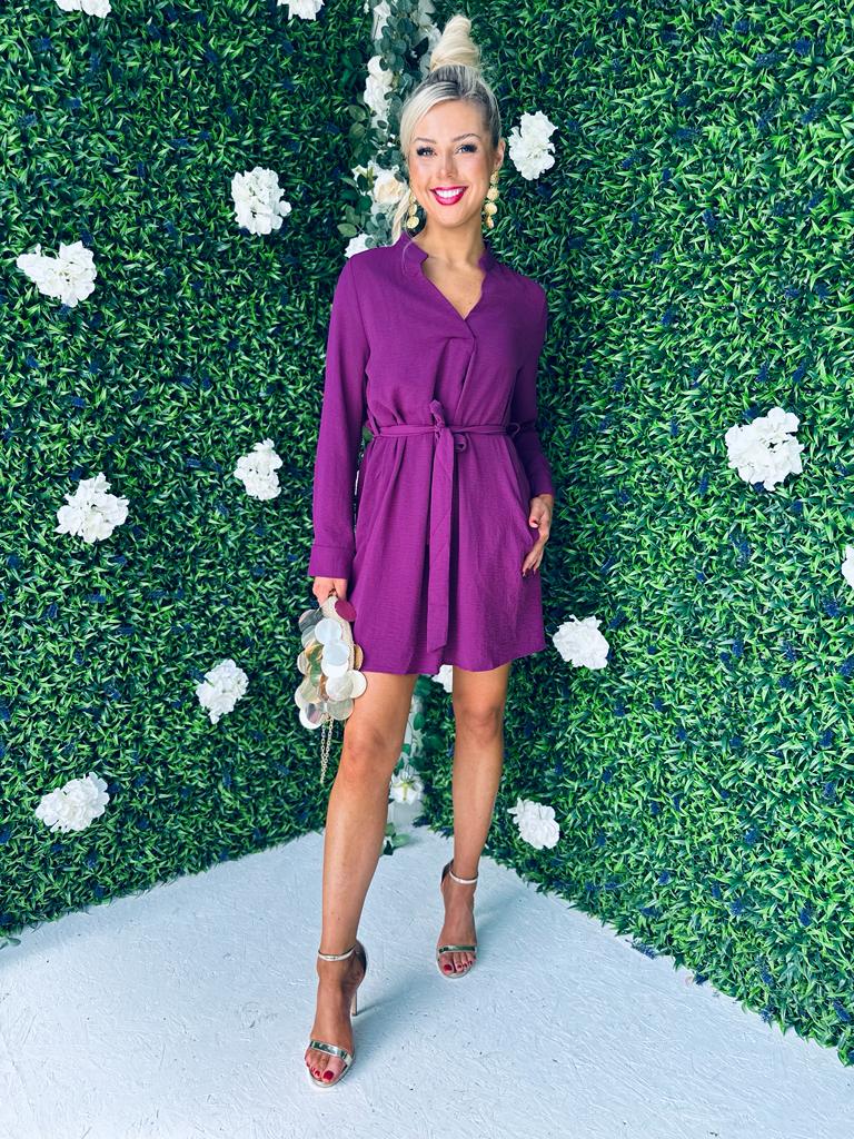 Berry mini outlet dress