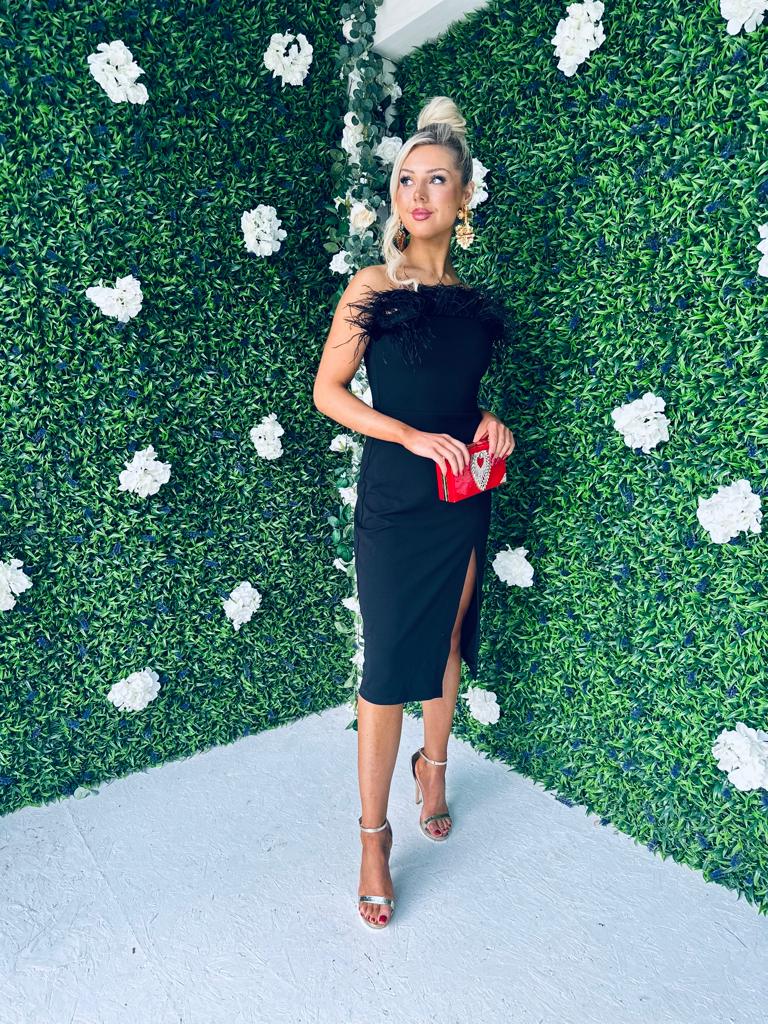 Diana Feather Detail Dress Black