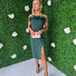 Diana Feather Detail Dress Forest