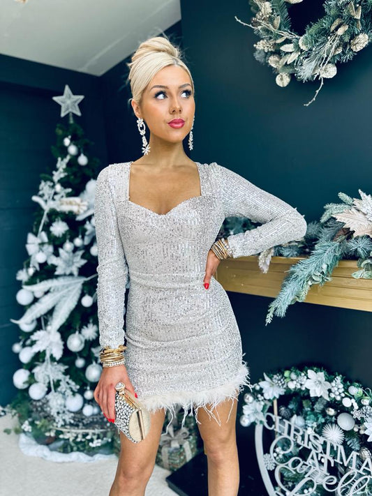 Pamela Sequin & Feather Mini Dress Silver