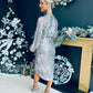 Phillipa Sequin Detail Midi Dress Silver