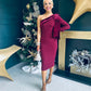 Daniella Velvet Detail Occasion Dress Burgundy