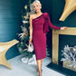 Daniella Velvet Detail Occasion Dress Burgundy