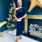 Katie One Shoulder Velvet Occasion Dress Navy