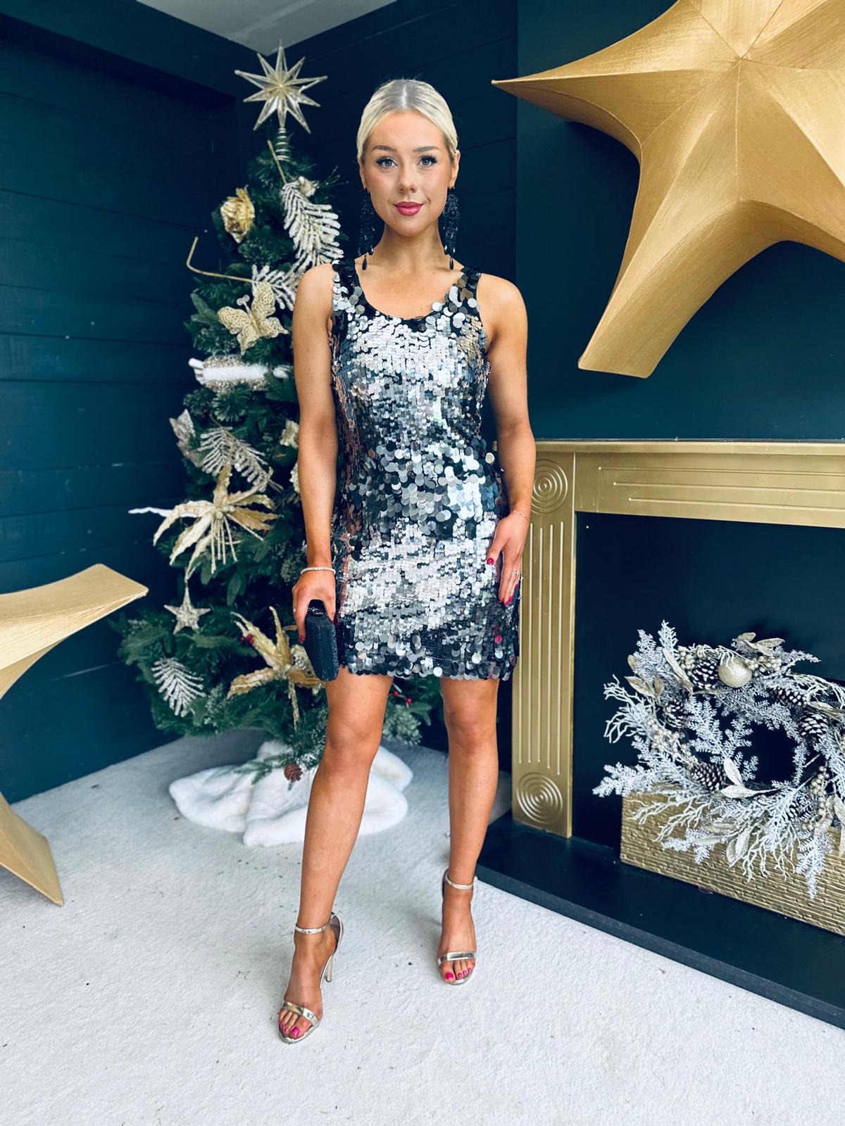 Abi Large Sequin Detail Mini Dress Silver