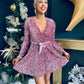 Jane Velvet Sequin Mini Dress Mauve