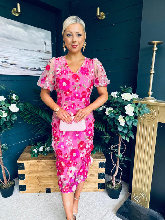 Mandy Embellished Occasion Dress Pink