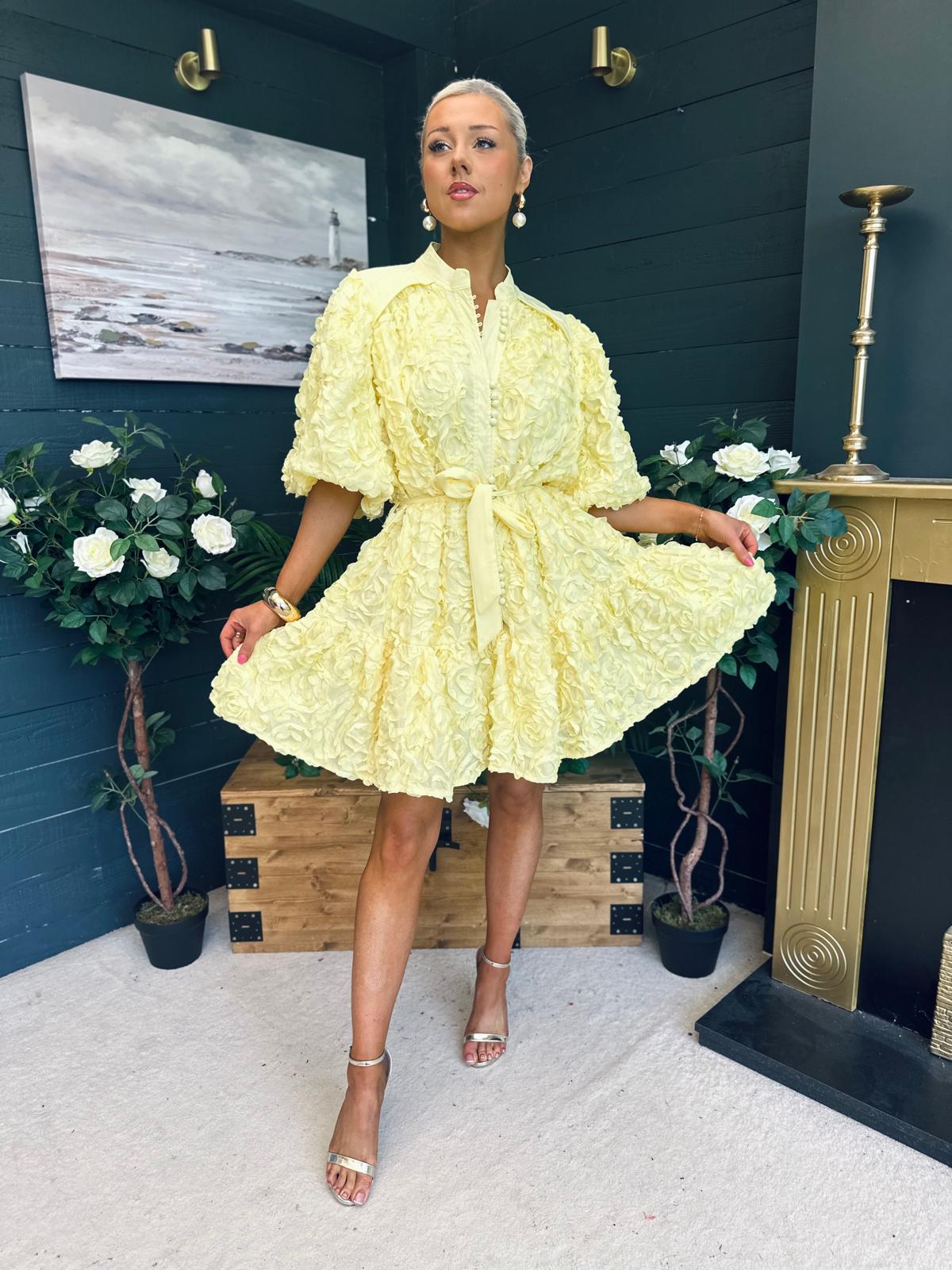 Monika Detailed Occasion Mini Dress Yellow
