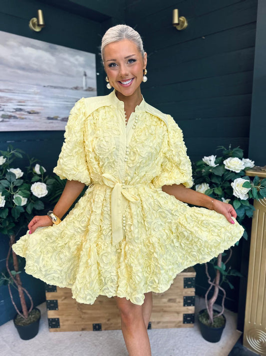 Monika Detailed Occasion Mini Dress Yellow