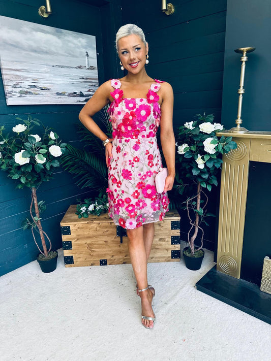 Hayley Embellished Occasion Mini Dress Pink