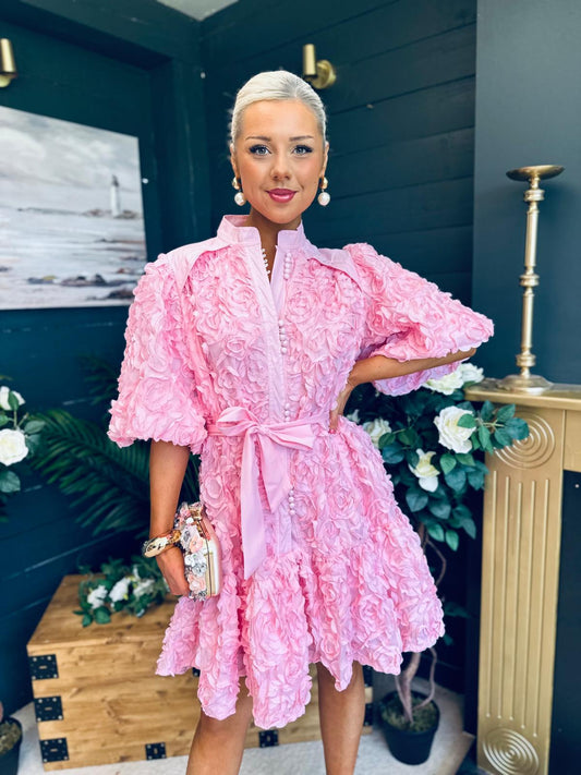 Monika Detailed Occasion Mini Dress Pink