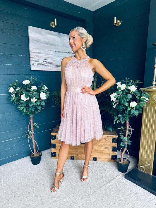 Vera Occasion Tulle Mini Dress Blush