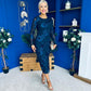 Elodie Floral Embroidered Mesh Bodycon Dress Navy