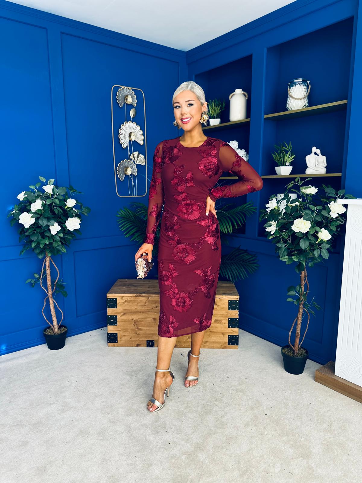 Elodie Floral Embroidered Mesh Bodycon Dress Wine