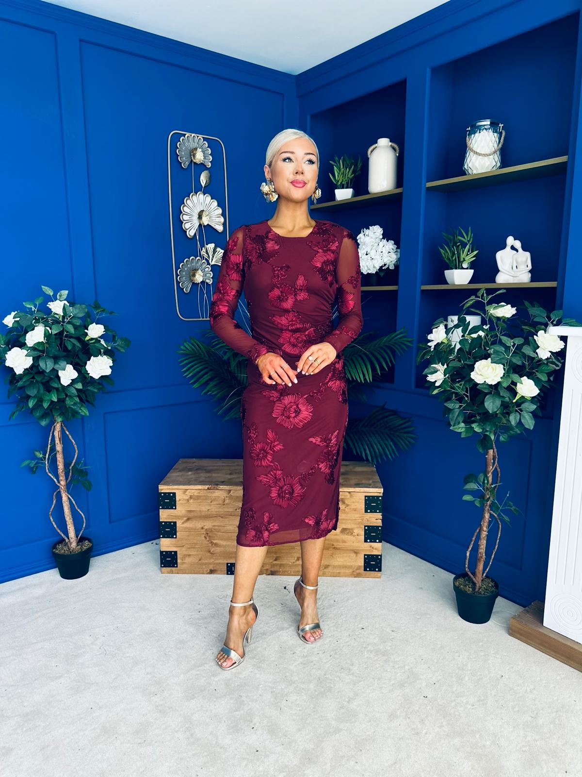 Elodie Floral Embroidered Mesh Bodycon Dress Wine