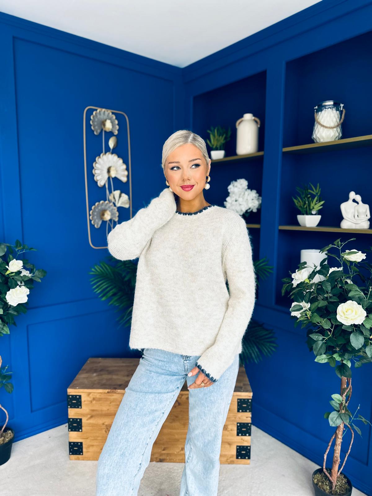 Eliza Chunky Knit Jumper Beige / Navy