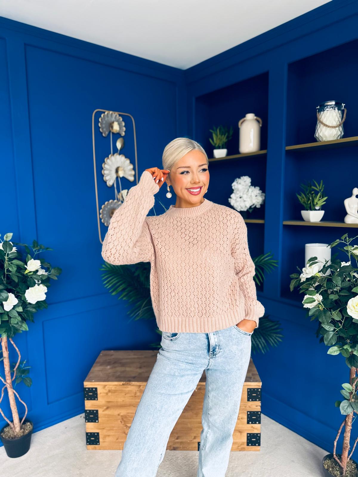 Angela Chunky Knit Jumper Blush