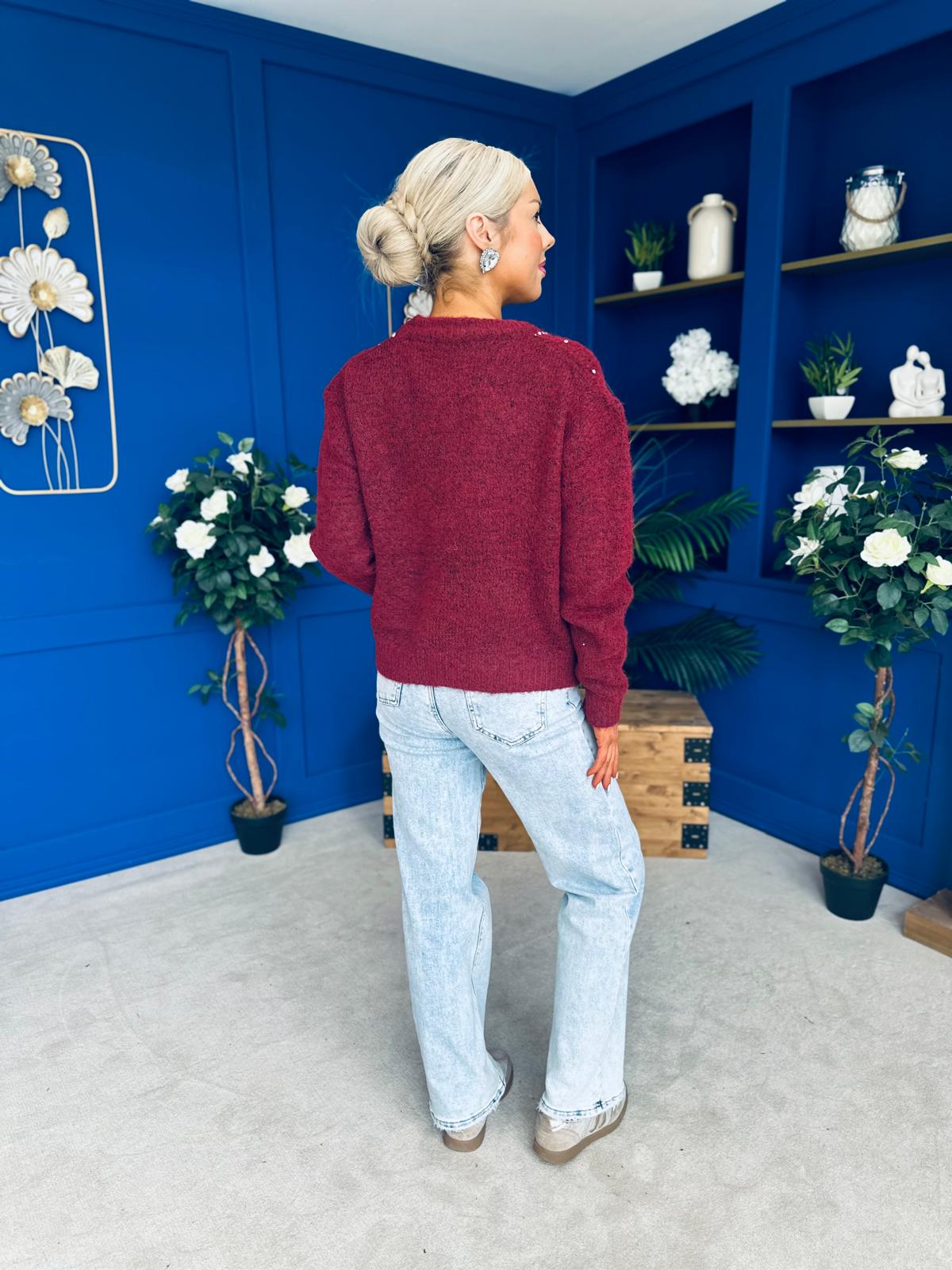 Diane Embellished Knit Jumper Wine