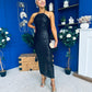 Aifric Sequin Slinky Dress Black