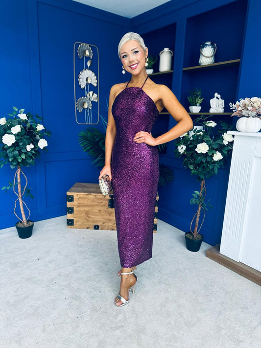 Aifric Sequin Slinky Dress Violet