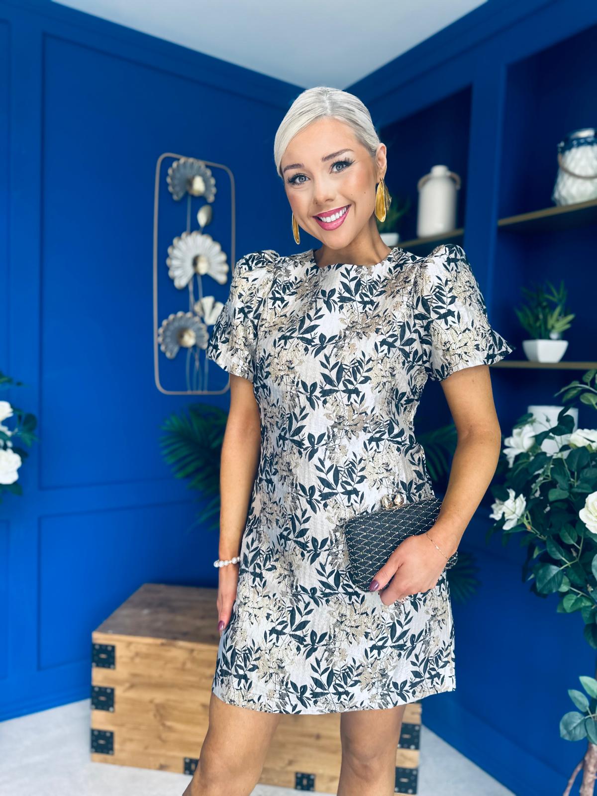 Ailish Puff Sleeve Jacquard Mini Dress PRE ORDER Arriving Oct 15