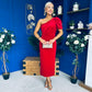 Nadia One Shoulder Velvet Occasion Dress Red