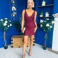 Barbara Sequin Mini Dress Wine