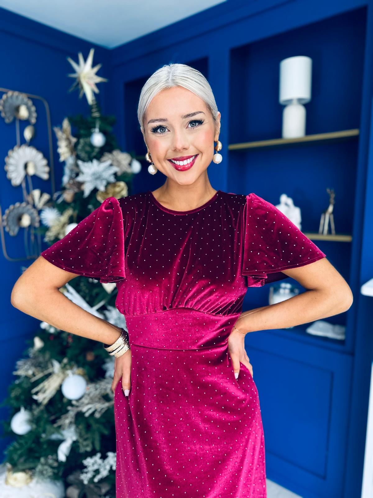 Aideen Angel Sleeve Studded Velvet Dress Wine