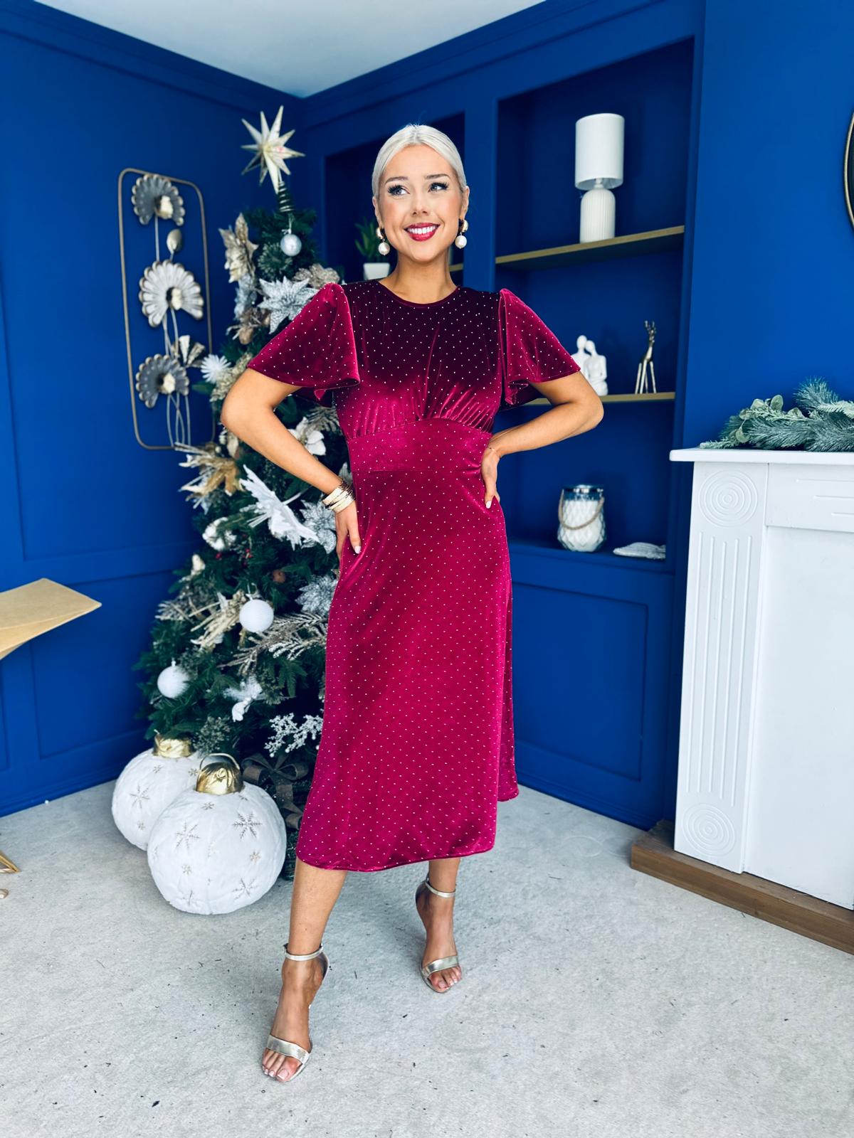 Aideen Angel Sleeve Studded Velvet Dress Wine