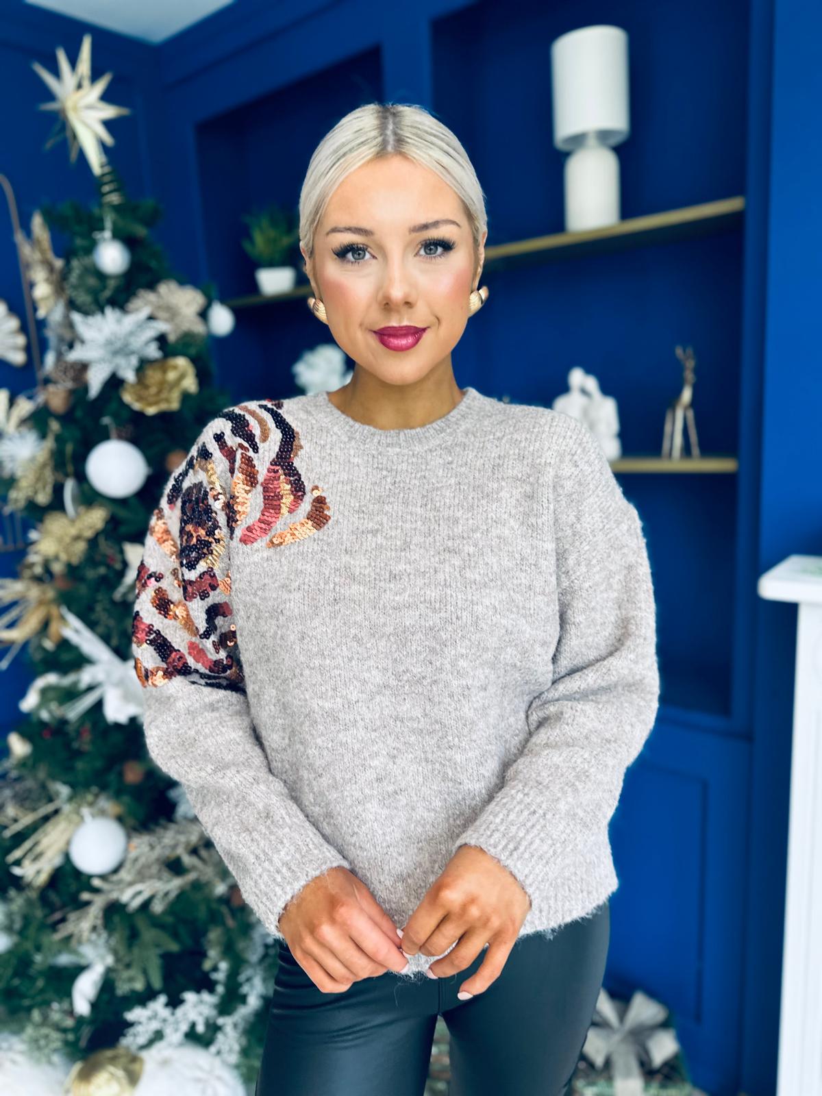 Breah Sequin Detailed Jumper Mocha