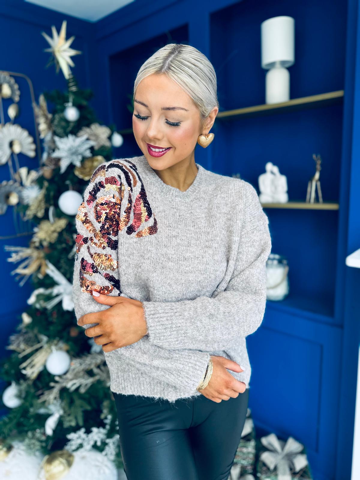 Breah Sequin Detailed Jumper Mocha