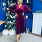 Doireann Pearl Button Velvet Midi Dress Wine Pre Order Arriving 28 Nov