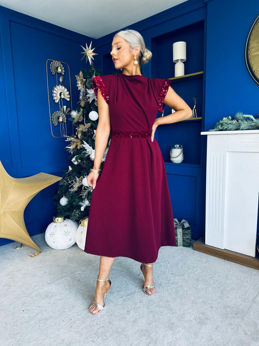Cassidy Sequin Detailed Midi Dress Wine