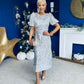 Berkley Sequin Occasion Dress Silver