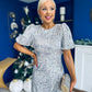 Berkley Sequin Occasion Dress Silver