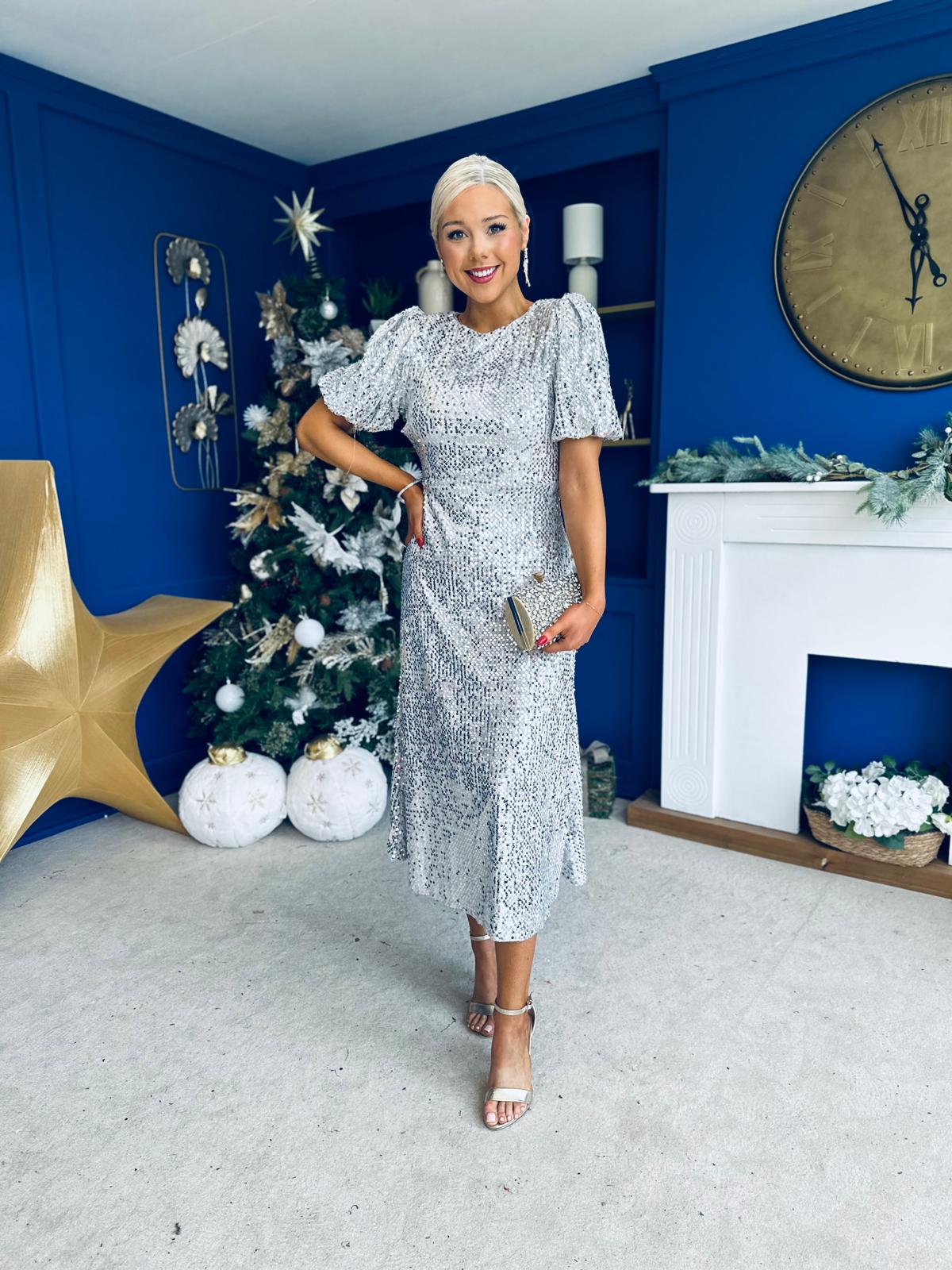 Berkley Sequin Occasion Dress Silver