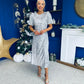 Berkley Sequin Occasion Dress Silver