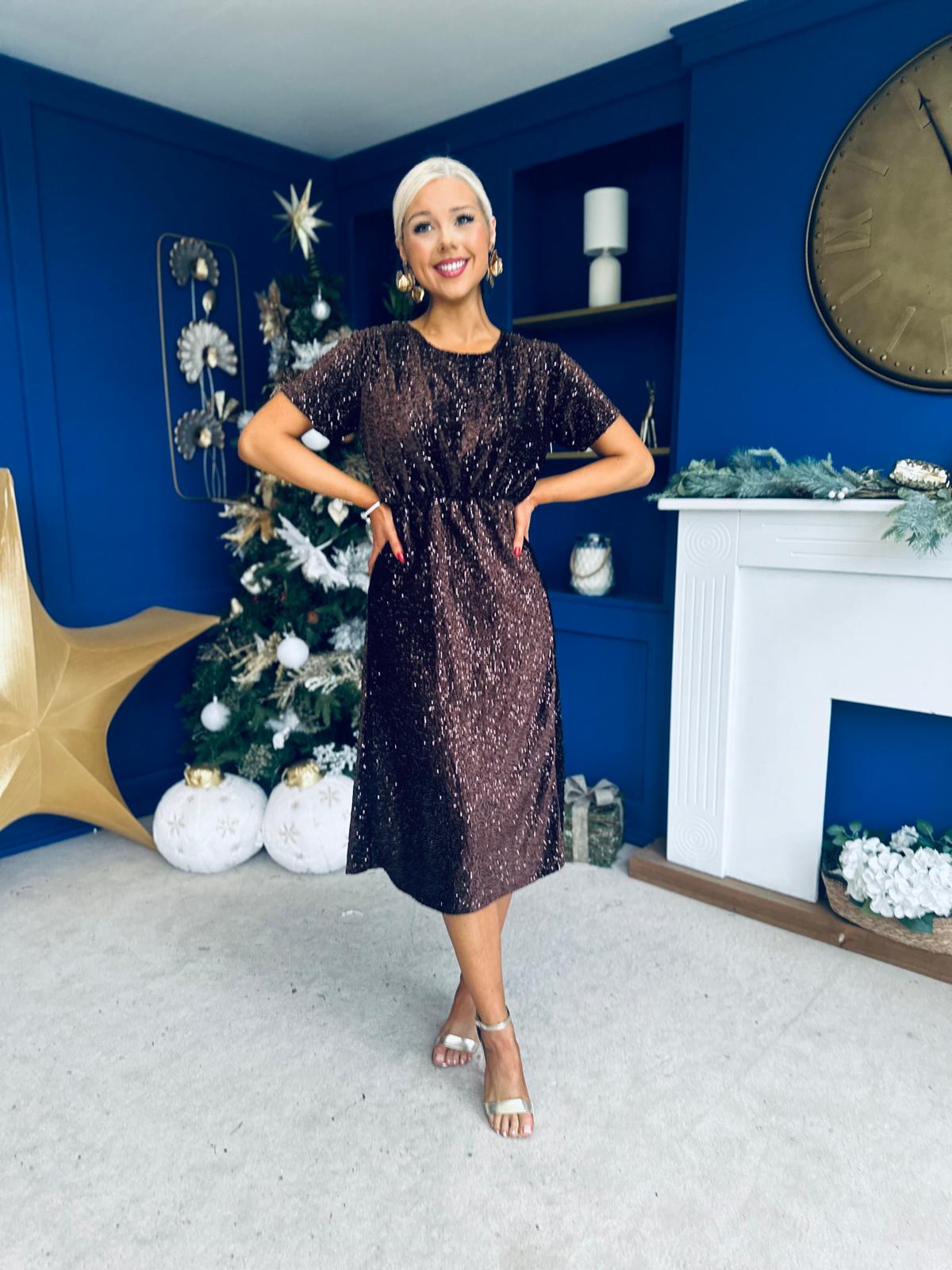 Janette Angel Sleeve Sequin Occasion Dress Coffee