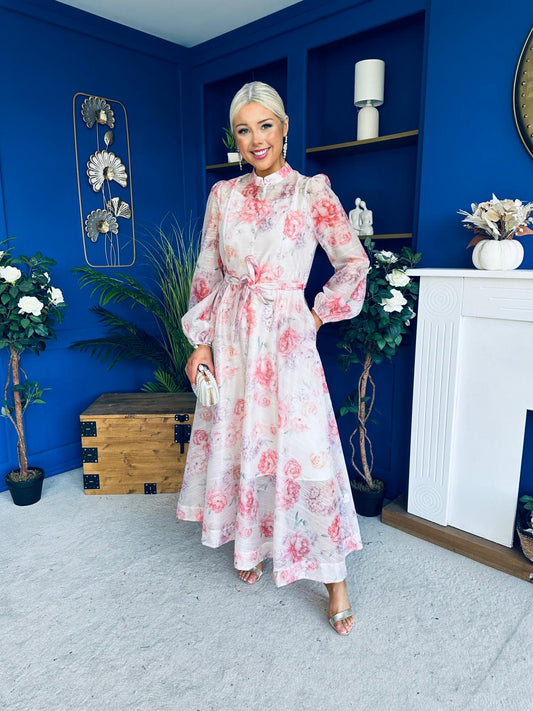 Brianna Detailed Occasion Dress Rose