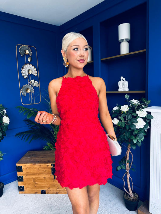 Nanci Rose-Applique Racer Neck Mini Dress Red