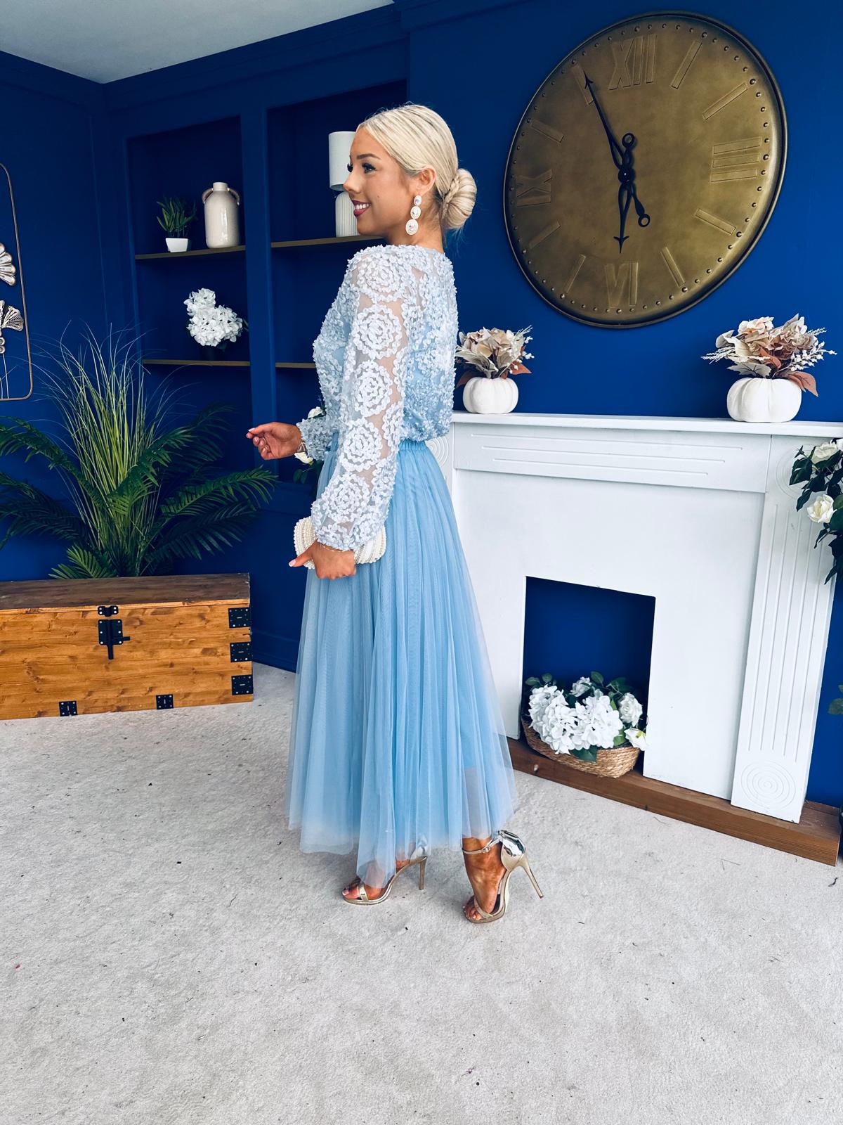 Alice 3D Sheer Top Blue