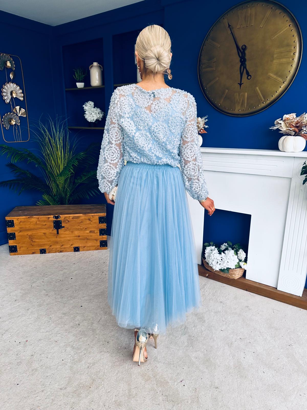 Alice 3D Sheer Top Blue