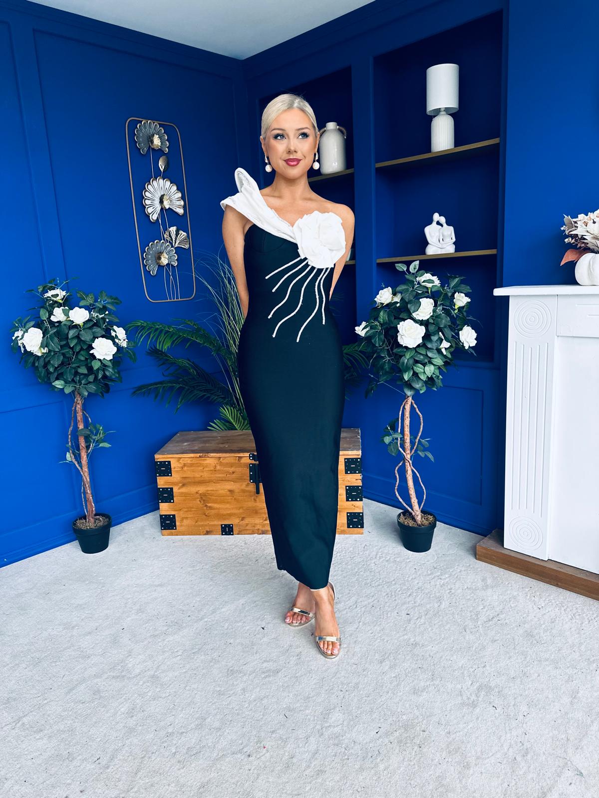 Edel One Shoulder Occasion Dress Black