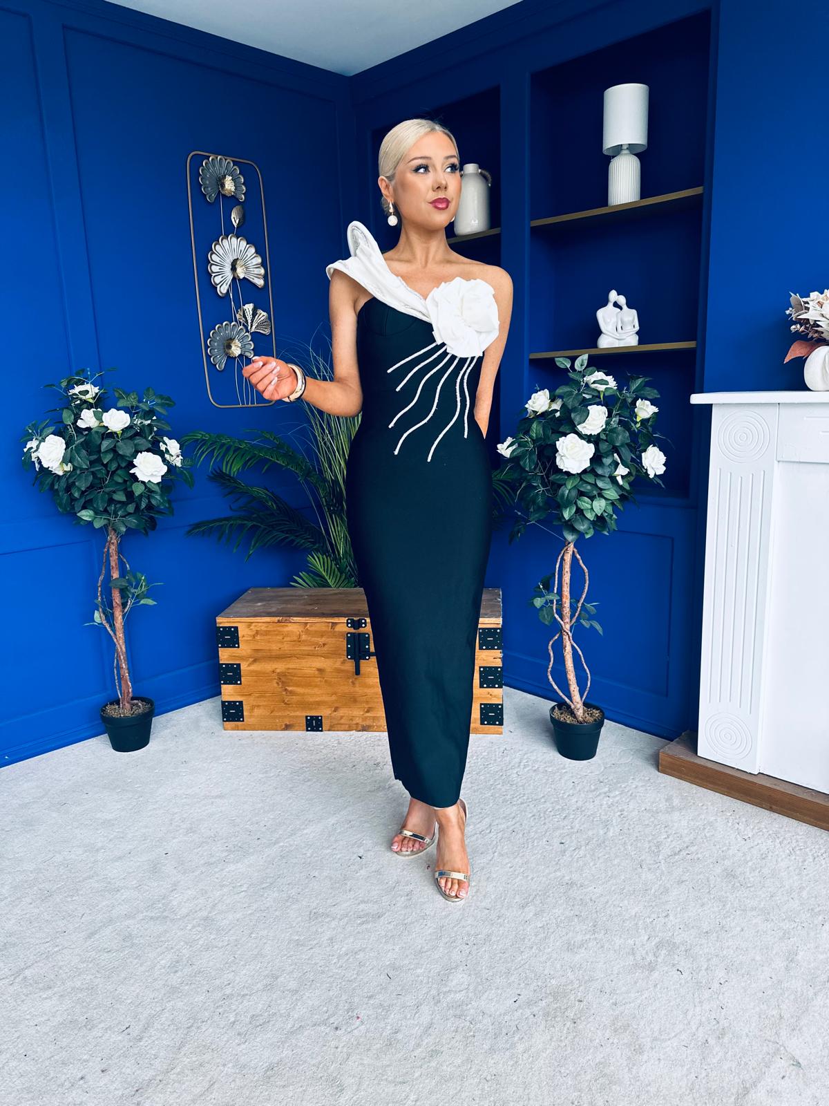 Edel One Shoulder Occasion Dress Black