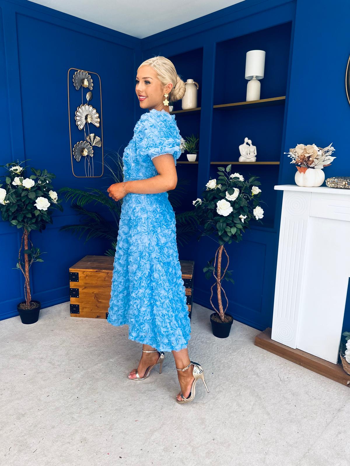 Pippa 3D Floral Occasion Dress Baby Blue