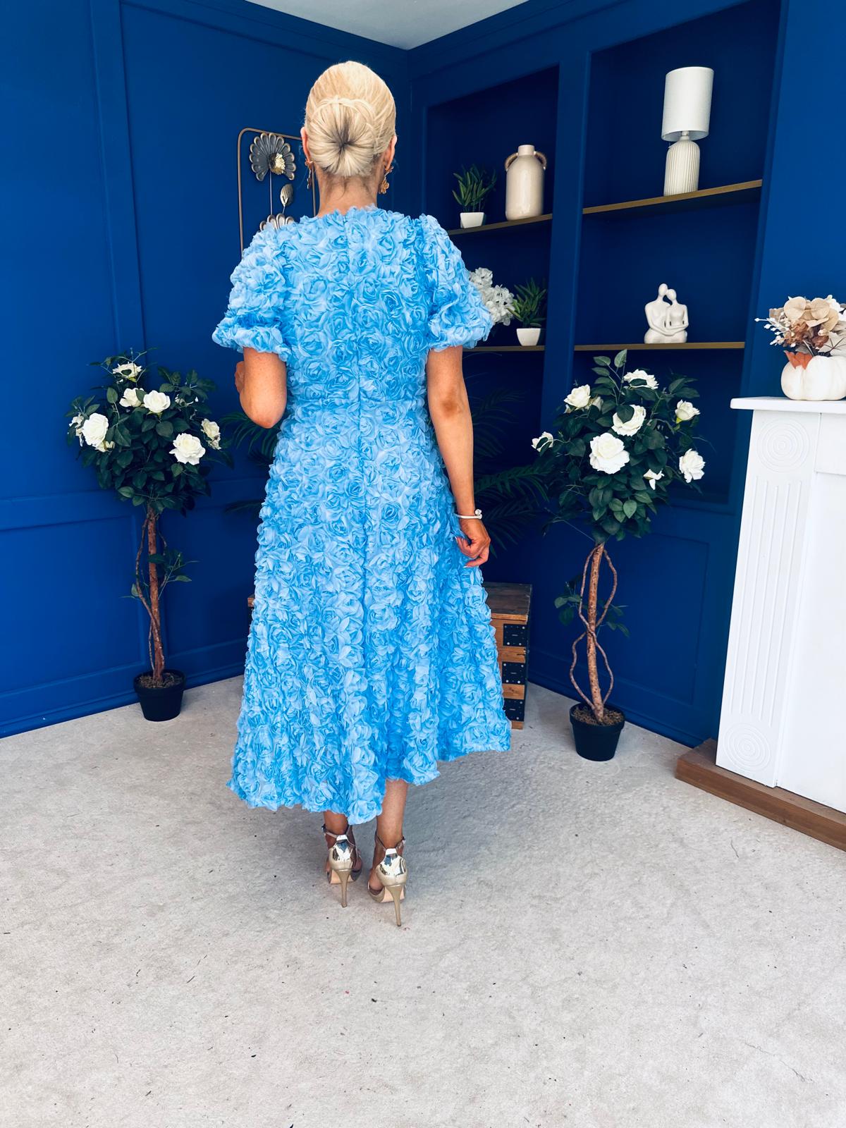 Pippa 3D Floral Occasion Dress Baby Blue