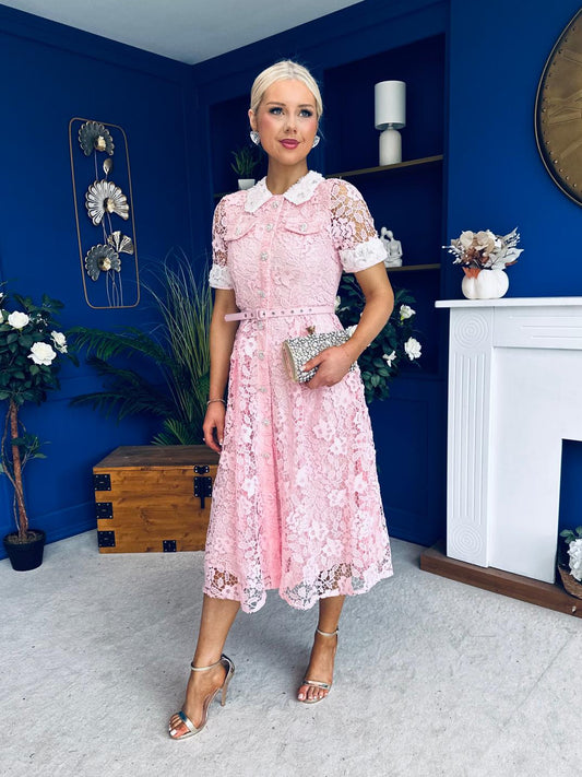 Elaine Crochet Detailed Occasion Midi Dress Pink