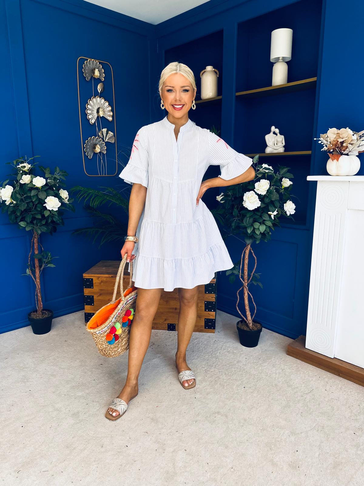 Cara Embroidered Mini Shift Dress Dress Blue – Canella Lane