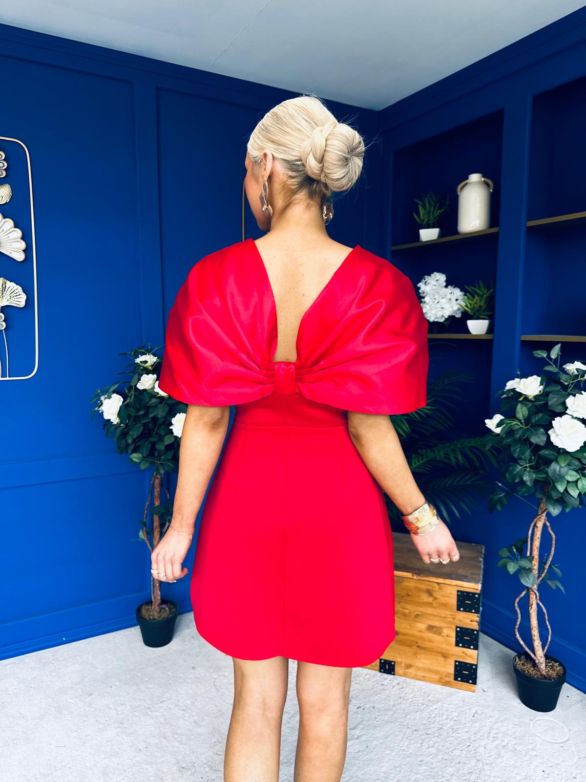 Dakota Detailed Occasion Mini Dress Red